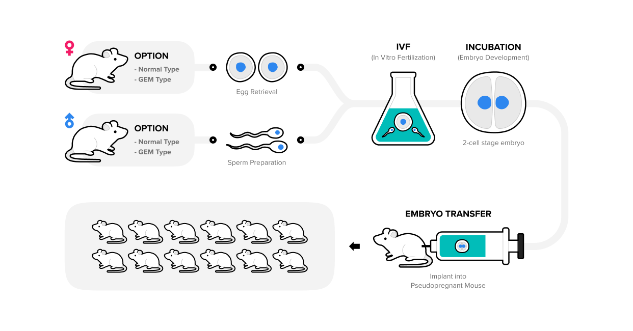 Mass Reproduction