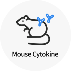Mouse Cytokine