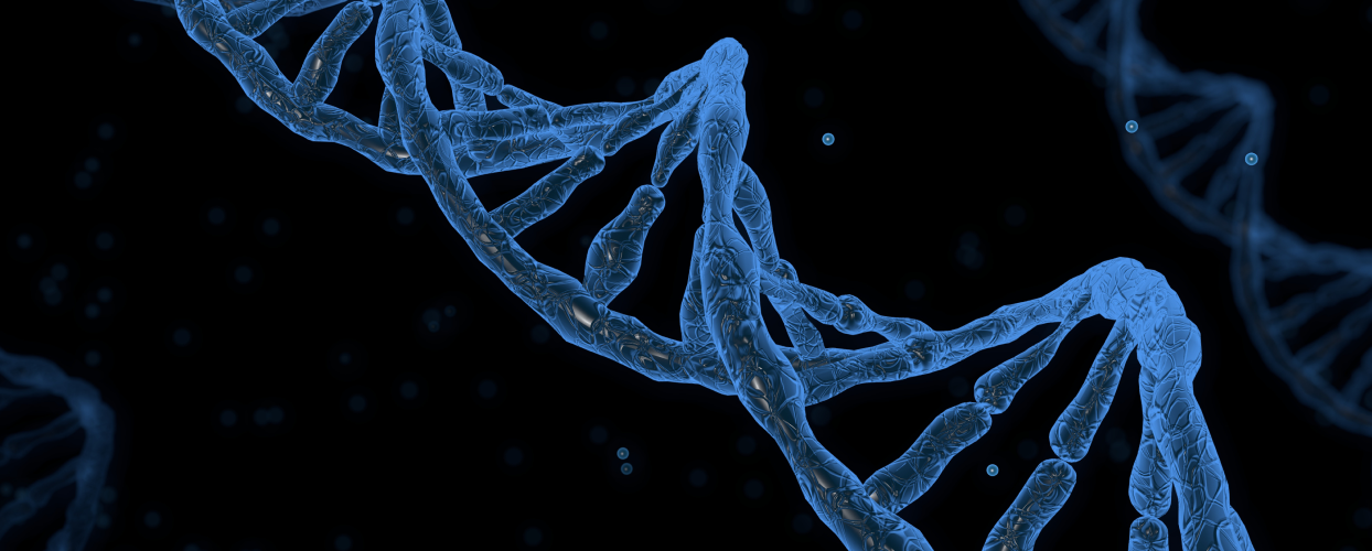 Double Strand RNA