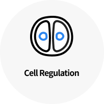 Cell Regulation