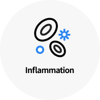 Inflammation