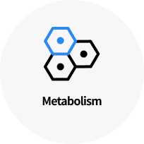 Metabolism